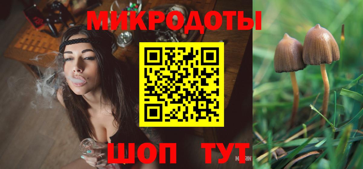 Псилоцибиновые грибы Cubensis  Вход с VPN  Гусь-Хрустальный 
